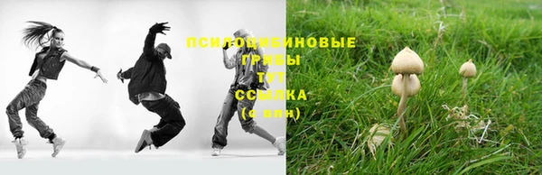 spice Армянск