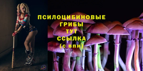 молекула духа Аркадак