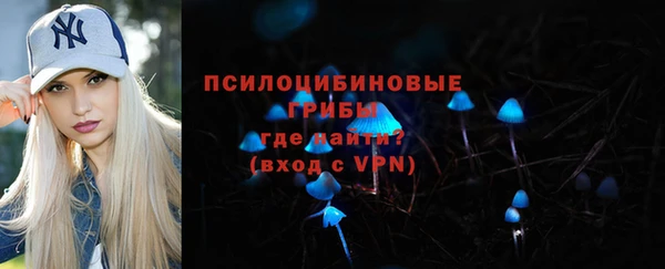 сатива Арсеньев