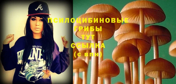 spice Армянск