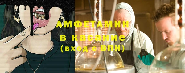 сатива Арсеньев