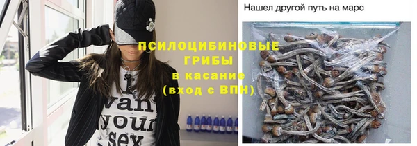 сатива Арсеньев